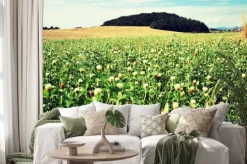 Naklejka: Campagna toscana