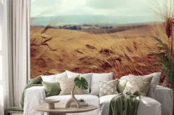 Naklejka: Campo di grano