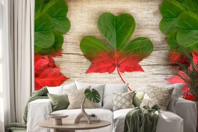 Naklejka: Canadian irish flag art concept