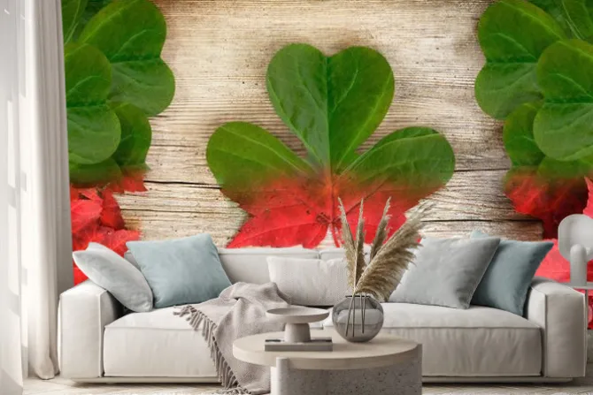 Naklejka: Canadian irish flag art concept