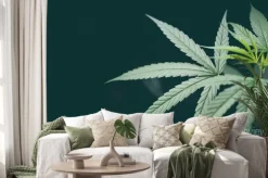 Naklejka: Cannabis leaf marijuana plant tree growing on dark background