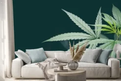 Naklejka: Cannabis leaf marijuana plant tree growing on dark background