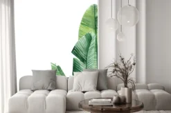 Naklejka: Card with place for text, palm tree on an isolated white background,