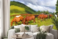 Naklejka: Carpathian mustangi w gorgany