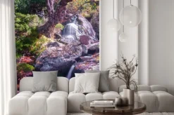 Naklejka: Cascada y viejo abedul, serra dos ancares, lugo, galicja