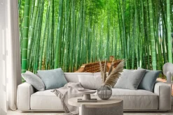 Naklejka: Ścieżka przez las bambusowy