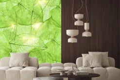 Naklejka: Ciemnozielone liście tło