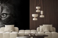 Naklejka: Ciemny pysk kota close-up. przedni widok