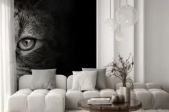 Naklejka: Ciemny pysk kota close-up. przedni widok