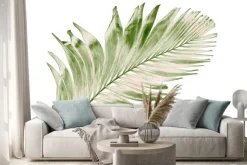 Naklejka: Concept summer with green palm leaf from tropical . frond floral