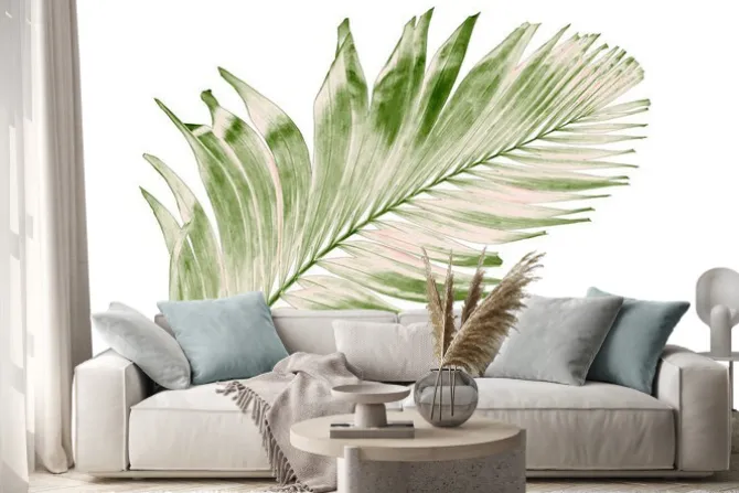 Naklejka: Concept summer with green palm leaf from tropical . frond floral