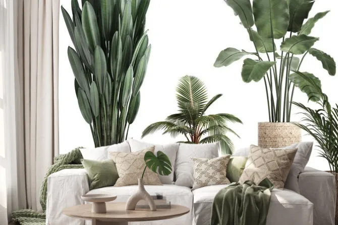 Naklejka: 3d illustration of tropical plants banana