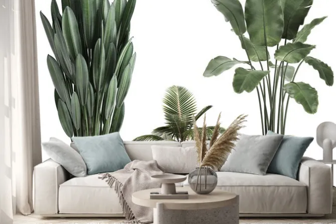 Naklejka: 3d illustration of tropical plants banana