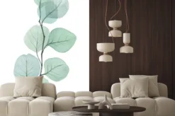 Naklejka: Delikatna gałązka eukaliptusa