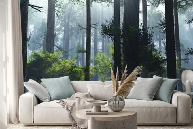 Naklejka: Drzewa we mgle o poranku