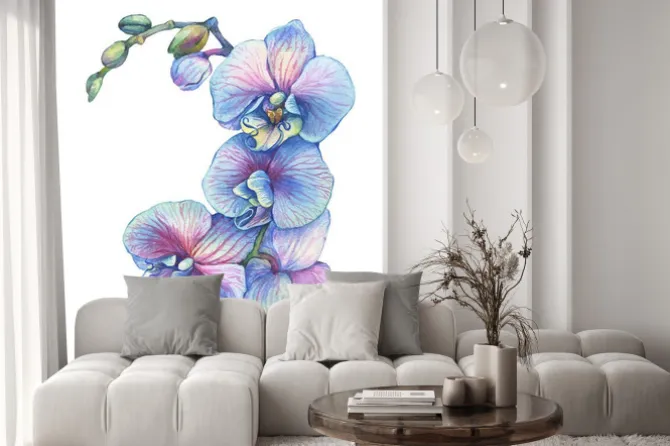 Naklejka: Gałąź kwitnąca tropikalna błękitna kwiat orchidea (phalaenopsis