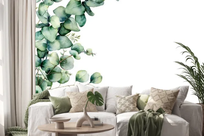 Naklejka: Gałązki eukaliptusowe