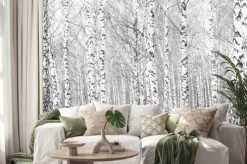 Naklejka: Gęsty las z brzozami