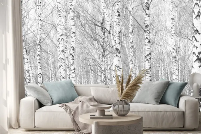 Naklejka: Gęsty las z brzozami