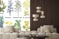 Naklejka: Hand-drawn watercolor medicinal forest and meadow herbs. plantain,