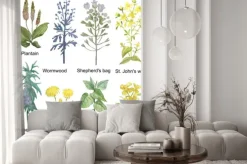 Naklejka: Hand-drawn watercolor medicinal forest and meadow herbs. plantain,