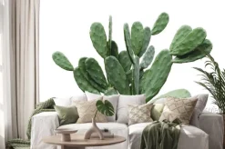 Naklejka: Kaktus odizolowywający na białego tła minimalnym lecie z ścinek