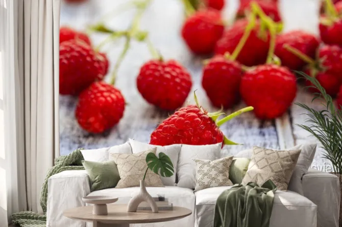 Naklejka: Malina, owoce - świeże maliny z ogrodu