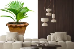 Naklejka: Palma w brązowej doniczce