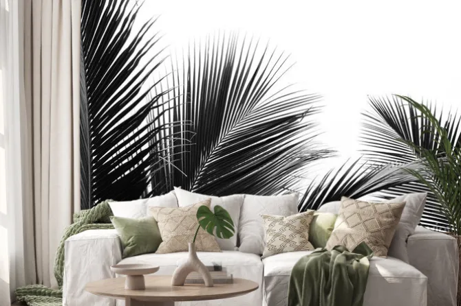 Naklejka: Palms leaf on white background