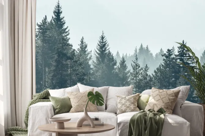 Naklejka: Panorama lasu sosnowego na białym tle