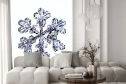 Naklejka: Płatek śniegu makro naturalny kryształ