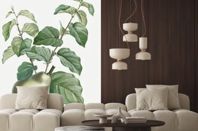 Naklejka: Pear on a branch