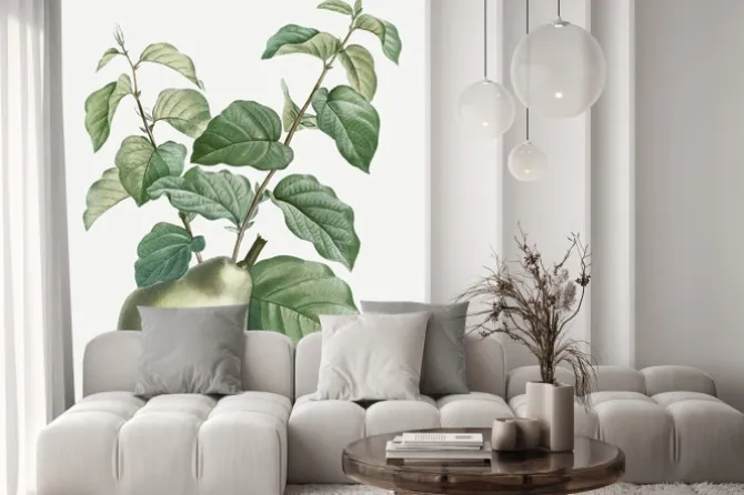 Naklejka: Pear on a branch