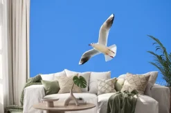 Naklejka: Piękno frajer morza