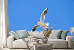 Naklejka: Piękno frajer morza