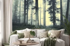 Naklejka: Piękny mglisty drzewo las bajkowy. magia mgliste światło w lesie.