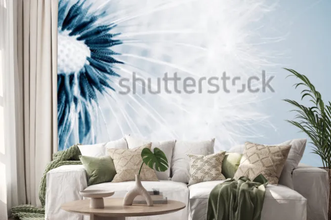 Naklejka: Piękny mniszek lekarski z nasionami, zbliżenie