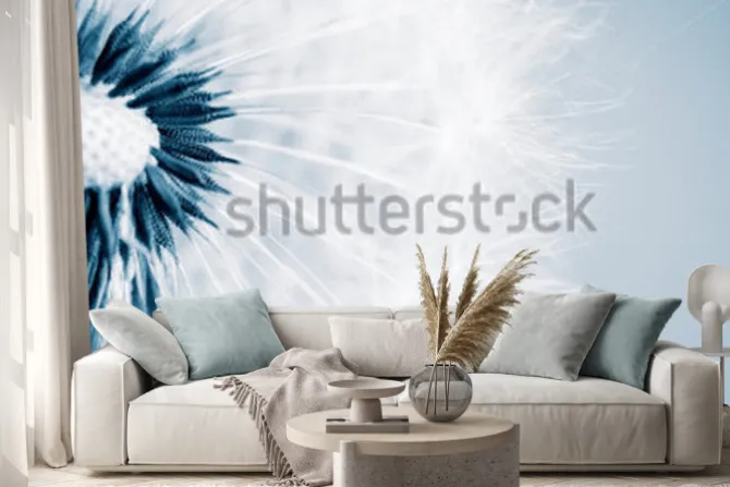 Naklejka: Piękny mniszek lekarski z nasionami, zbliżenie