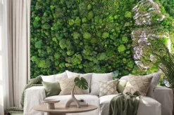 Naklejka: Piękny zielony i żółty kolor lasu deszczowego.