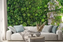 Naklejka: Piękny zielony i żółty kolor lasu deszczowego.