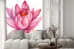 Naklejka: Pink lotus flower on an isolated white background, watercolor