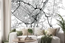 Naklejka: Plan miasta albany w usa