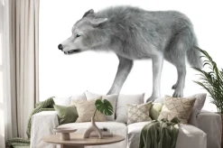 Naklejka: Polar wilk na białym