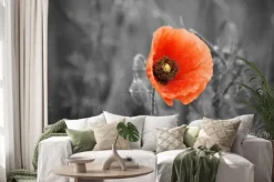 Naklejka: Pole czerwone maku w lecie