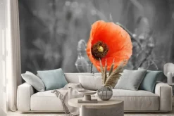 Naklejka: Pole czerwone maku w lecie