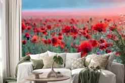 Naklejka: Pole czerwone maki na zachód słońca