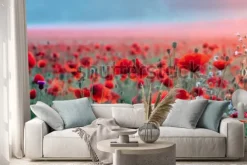 Naklejka: Pole czerwone maki na zachód słońca