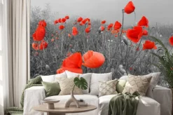 Naklejka: Pole czerwone maku w lecie