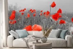 Naklejka: Pole czerwone maku w lecie