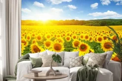 Naklejka: Pole słoneczników